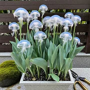 Rare Medusa Orchid with Plant Growth Supplement (Pack of 4)