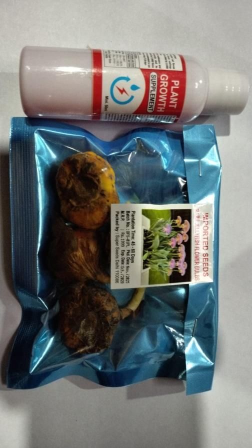 Rare Medusa Orchid with Plant Growth Supplement (Pack of 4)